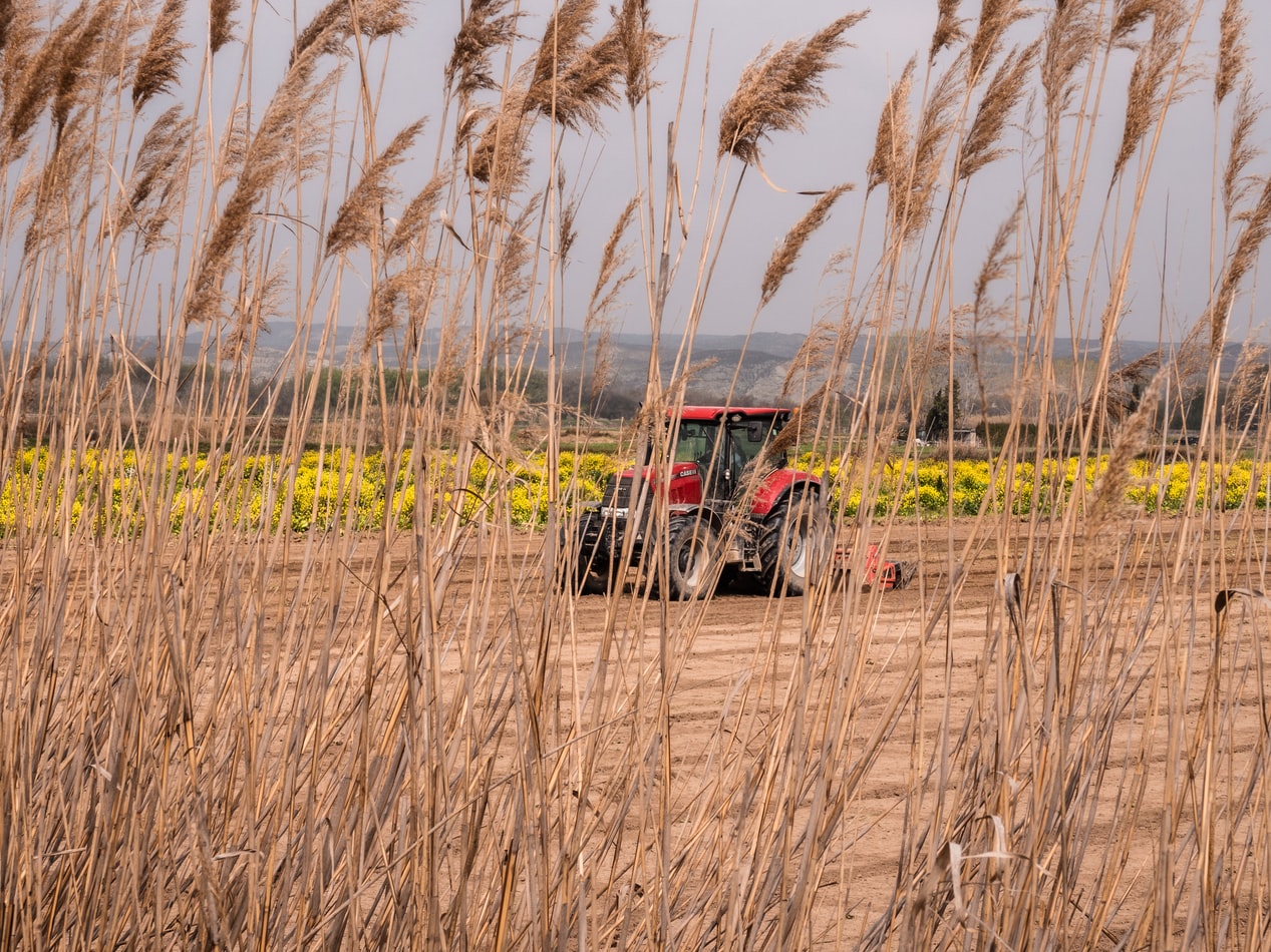 Agricultural Equipment Bushing