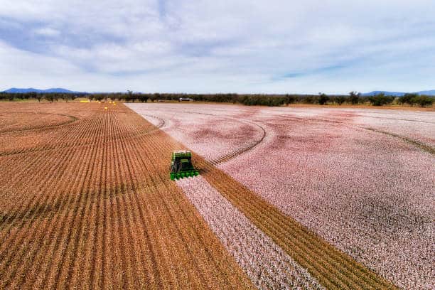 cotton combine front dist picture id1157682826